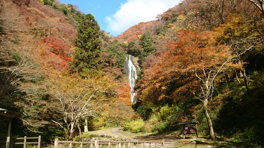心斎橋・大阪のサプライズプロポーズ 神庭の滝自然公園