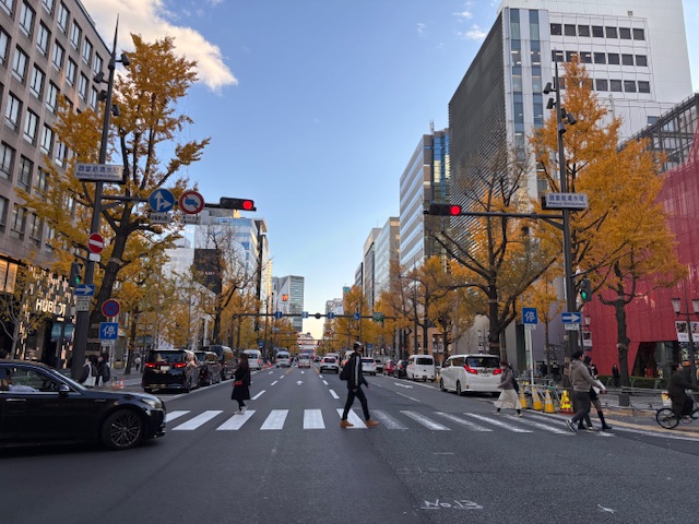 フォトウェディングスポット御堂筋横断歩道